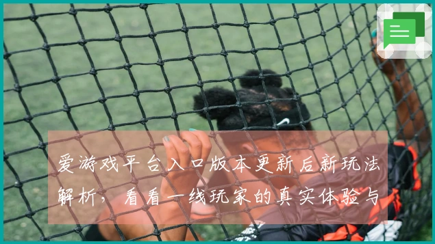 爱游戏平台入口版本更新后新玩法解析，看看一线玩家的真实体验与技巧分享