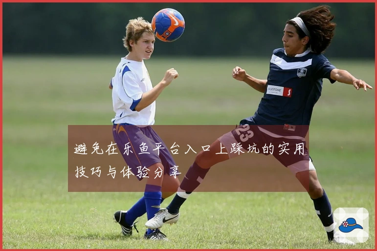 避免在乐鱼平台入口上踩坑的实用技巧与体验分享